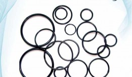 PTFE O-Ring