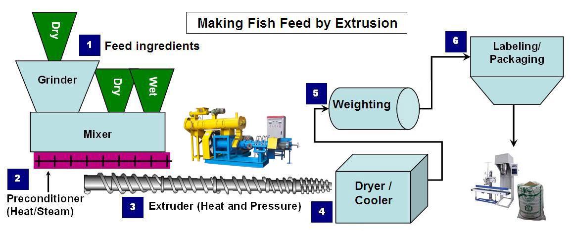 Feed process. Feed the Machine.