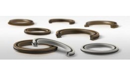 PTFE Shaft seals